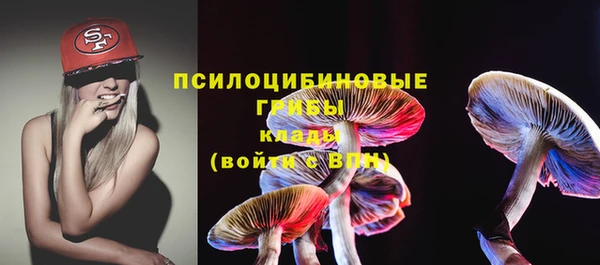 дживик Волоколамск