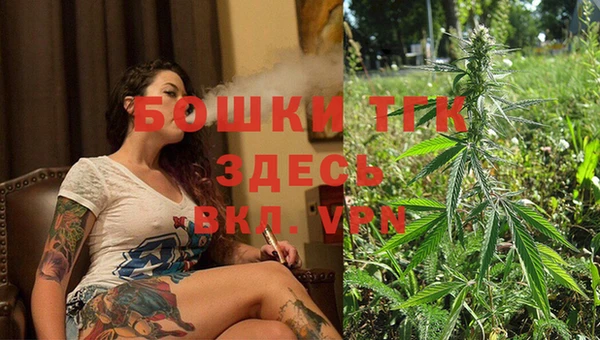 сатива Дрезна