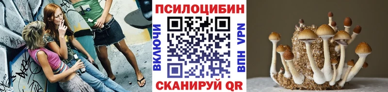 Галлюциногенные грибы мицелий закладки omg tor Гаврилов-Ям